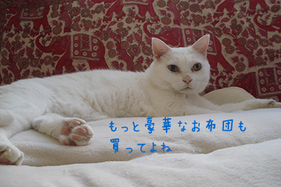 everest_nyan120812